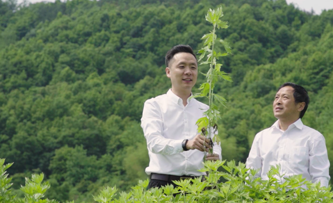 聞艾識端午，巧手納香囊——蘄善堂端午節(jié)文化傳承活動誠邀您的參與！